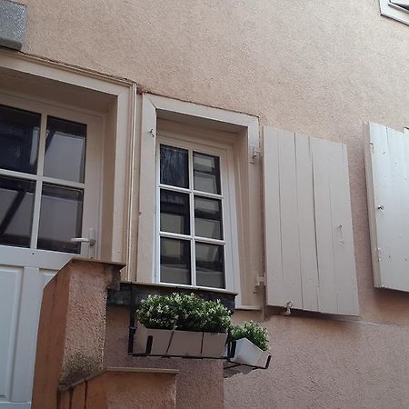 Colmar City Center Little Venise - Gite De Lea - Экстерьер фото